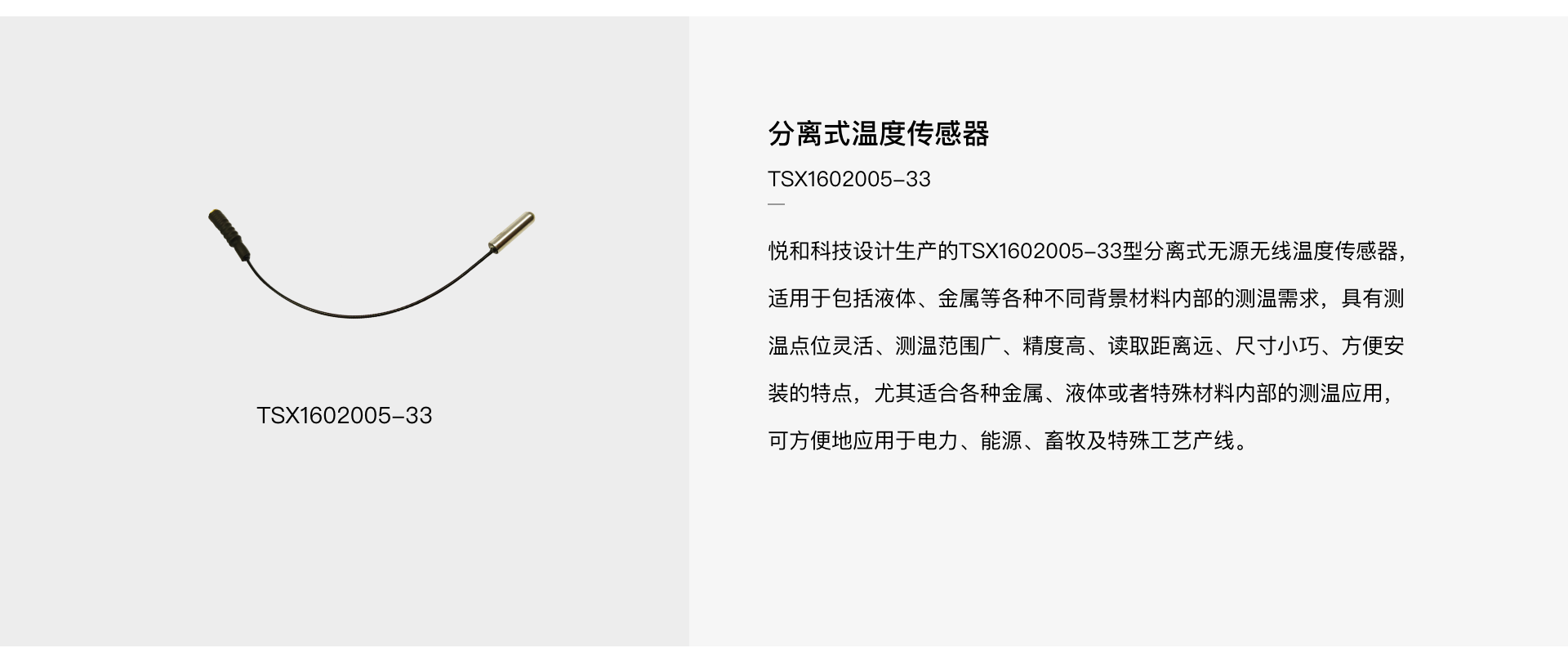 TSX1602005-33 分離式溫度傳感器(圖1)